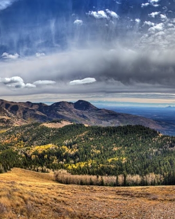 Manti-La Sal National Forest