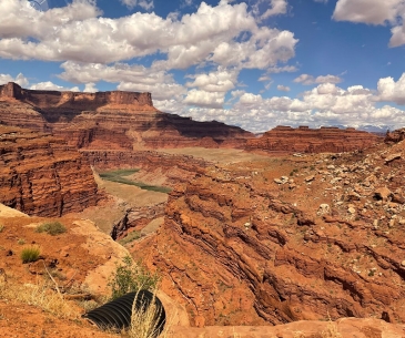 Full Day Arches / Isky-Canyonlands National Park Jeep Tour